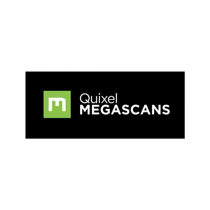MegaScans